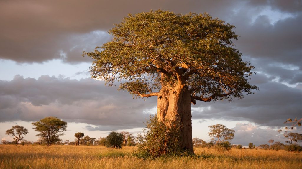 Zanzibar: Tanzania’s Spice Island Paradise
