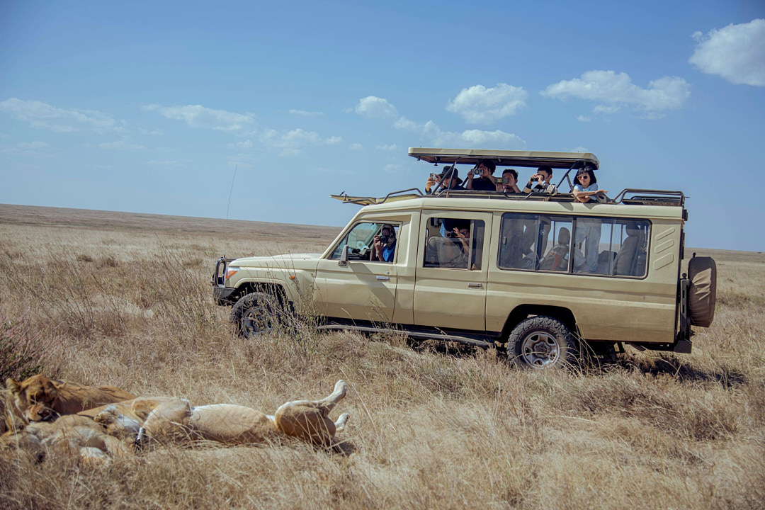 12-Day Grand Tanzania Safari