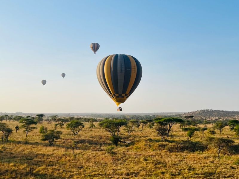 Balloon Safaris