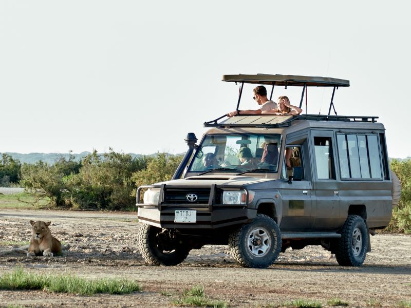8-Day Luxury Tanzania Safari